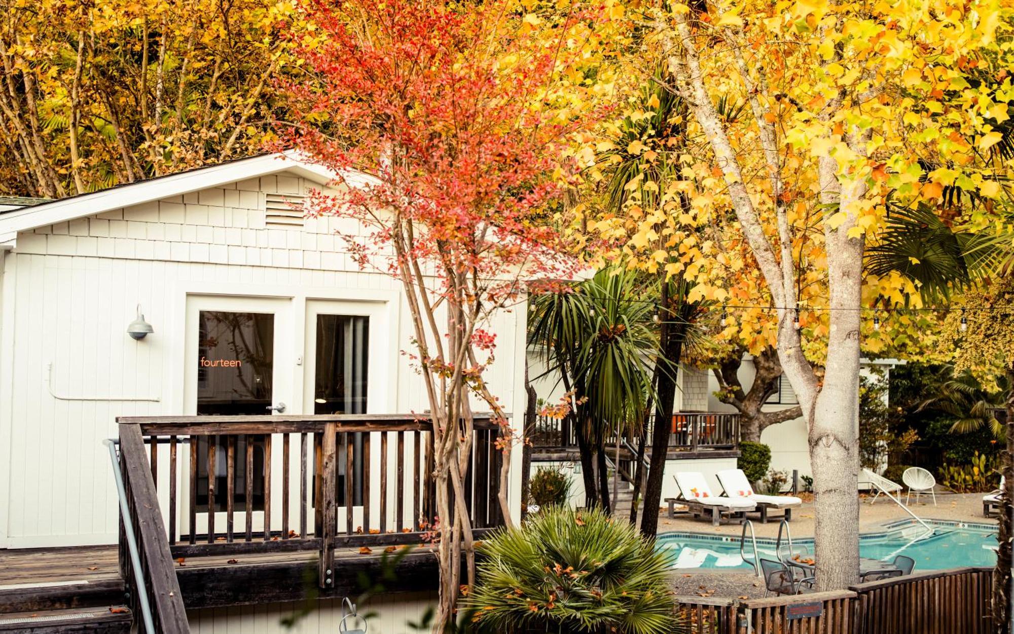 Boon Hotel + Spa - Adults Only Guerneville Værelse billede